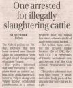 One arrested for illegally slaughtering cattle.JPG - 