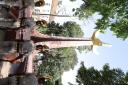 6O4A2421.JPG - 
